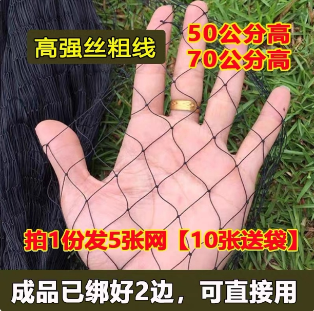 辣条专用防蛇尼龙网20米双结