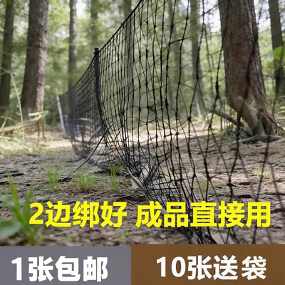 防蛇尼龙网单层黑色渔网加粗高强丝柔软粘网尼泥鳅黑鱼龙线捕黄鳝