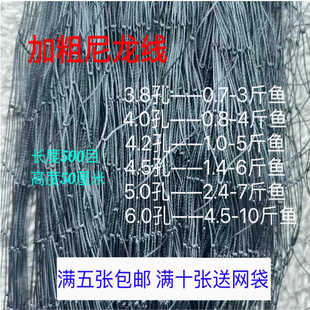 黑色尼龙专用网柔软耐用加粗双节尼龙网防长虫网单层防护网