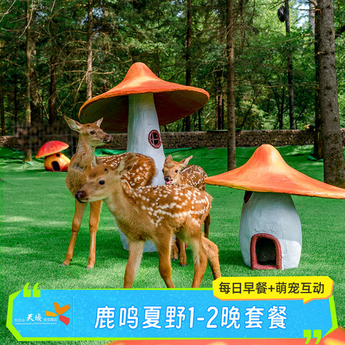 【亲子度假】家庭度假之选，多项亲子活动，室内外淘气堡儿童乐园畅玩 【天然氧吧】酒店周围丛林植被茂密，漫步于森林栈道，感受自然魅力 【出行无忧】酒店至长白山机场/长白山西站接送服务1次 【假日畅玩】暑期可用！套餐不约可退，过期自动退