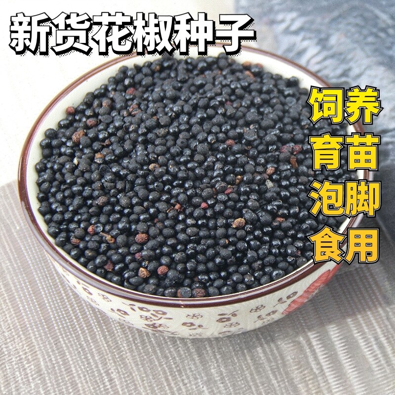 山东农家新货可食用花椒种子育苗养殖喂鸽子泡脚花椒籽散装5斤