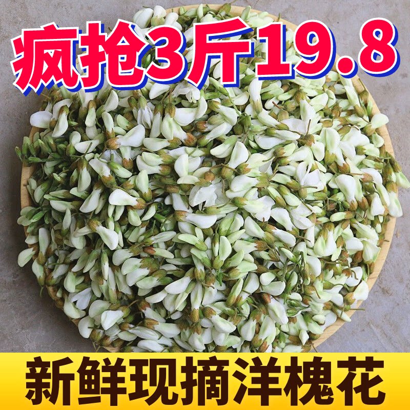 2026新鲜采摘洋槐花野生槐花山东发货现摘现发应季野菜