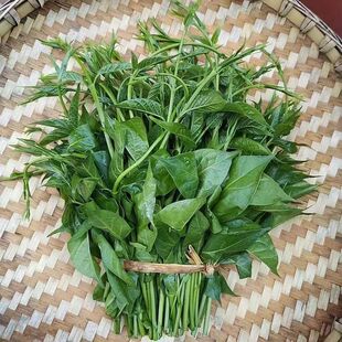 云南德宏傣家特色菜帕克秀新鲜美味野菜煮鸡蛋汤杂菜汤泡沫箱装