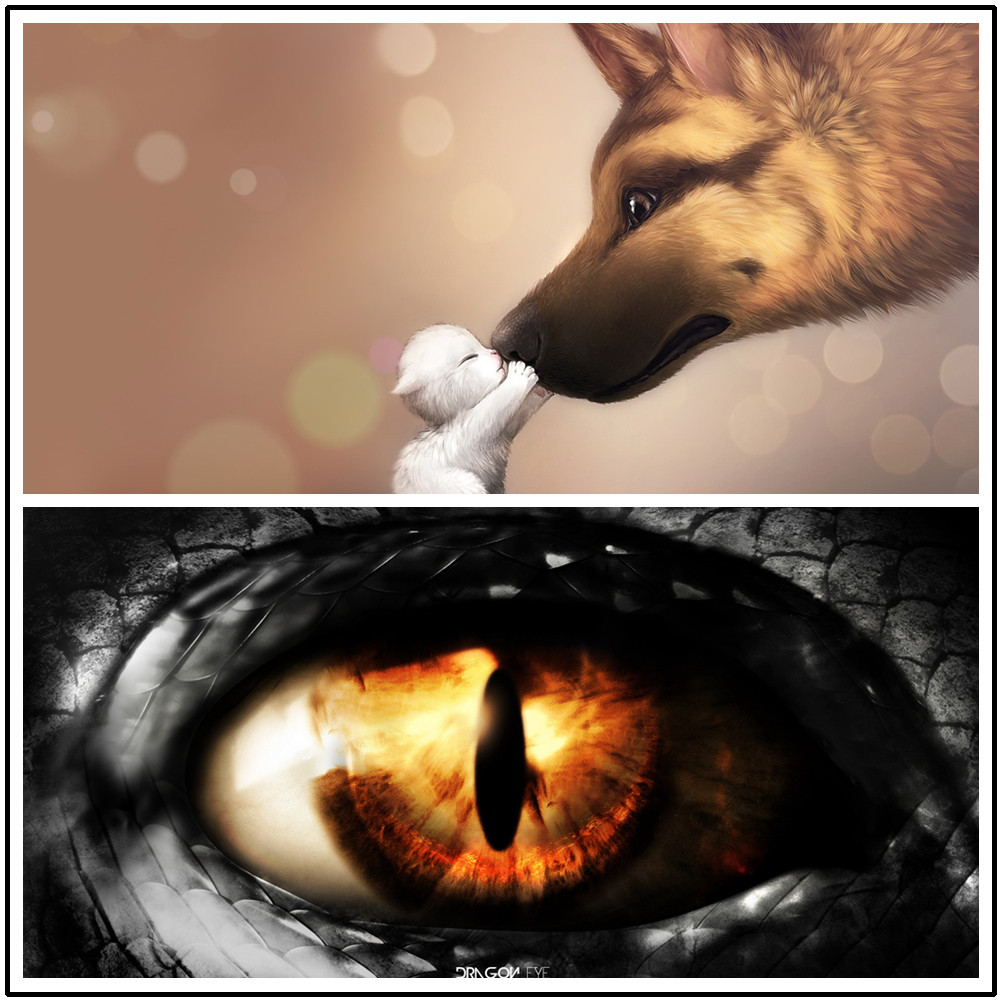 1080p高清电脑壁纸图 1920×1080分辨率壁纸图片2400张 16:9屏幕