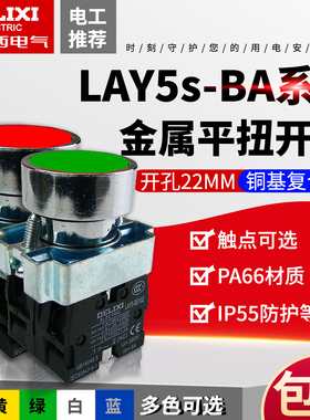 德力西按钮开关 LAY5s-BA33/BA35/BA45/BA55金属型平头按钮双触点
