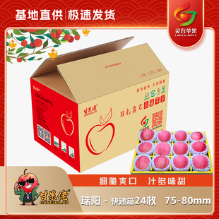 甘果佬苹果甘肃灵台瑞阳苹果快递箱24枚75-80mm 齐翔果园顺丰包邮
