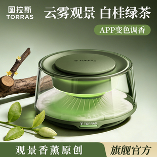 图拉斯观景车载香薰车内持久留香车用高级男士茶香氛固体装饰摆件