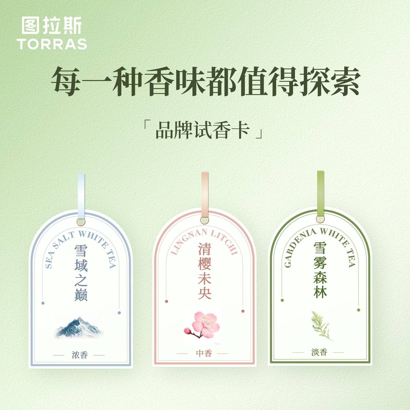 车载香水试香卡汽车用香薰试香车内香薰试香持久淡香车上高档试香