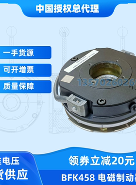 湘电莱特偏航电机YEJ132S 3KW刹车片盘BFK459-14N制动器205V 80NM