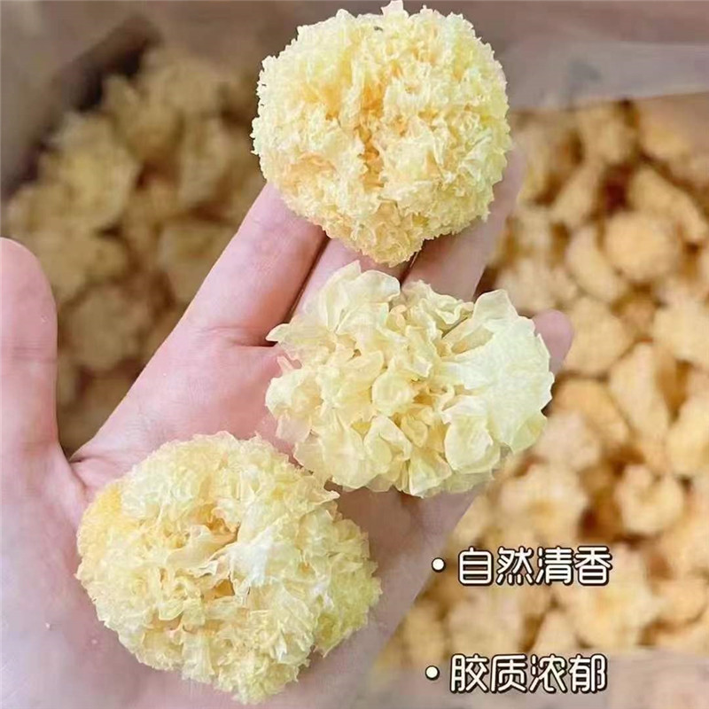 椴木银耳软糯易烂胶质满满椴木耳小银耳清心润肺养颜搭配莲子百合