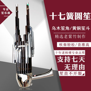 风海名家17簧笙乐器标准校音