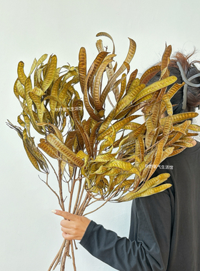 大扁豆干花花束天然真花银合欢豆荚永生花客厅家居插花装饰摆件