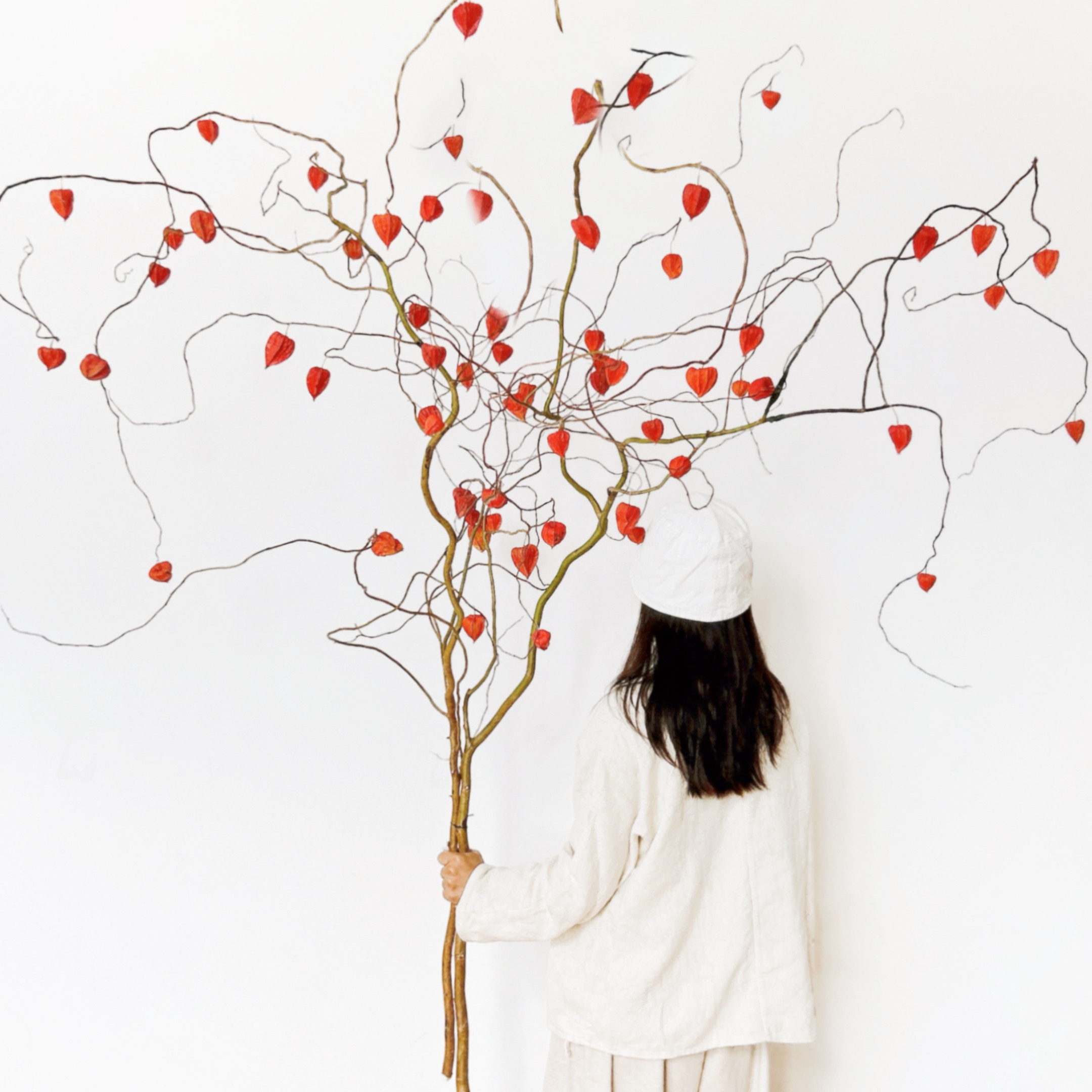 灯笼果酸浆果金龙柳真花干花大型落地家居插花新年装饰年宵花干枝