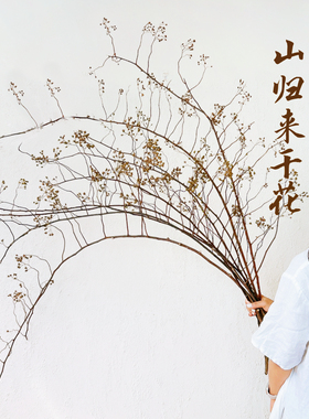 天然植物山归来真花干花复古侘寂风新中式禅意插花摆件干树枝装饰
