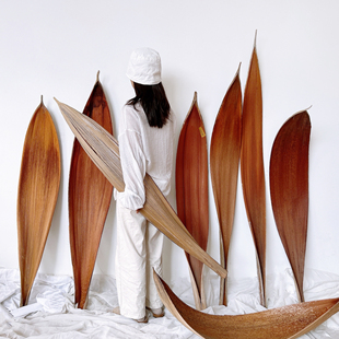 巨型可可叶天然真花干花干树枝原木空间装饰店铺摆设创意设计摆件