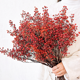 蔷薇果真花干花花束红果发财果天然果实家居插花装饰短枝山归来
