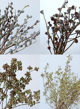天然真花干花干果小米果僵尸果家居装饰干树枝复古花材尤加利果