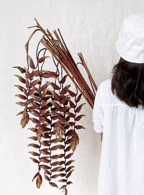 高级线条感艺术个性插花真花干花