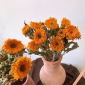 重瓣泰迪向日葵干花花束梵高油画风家居装 饰文艺插花摆件天然真花