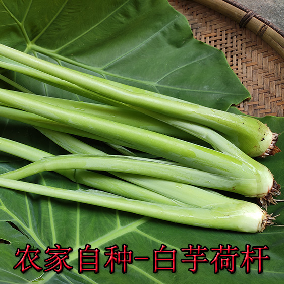 湖南湘西怀化会同农家自种白芋荷杆广荷新鲜应季时令蔬菜广菜2斤 水产肉类/新鲜蔬果/熟食 莼菜 原图主图