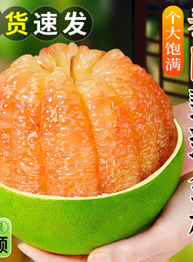 正宗泰国金柚翡翠红心柚纯甜蜜柚孕妇新鲜水果现摘青皮柚大果当季