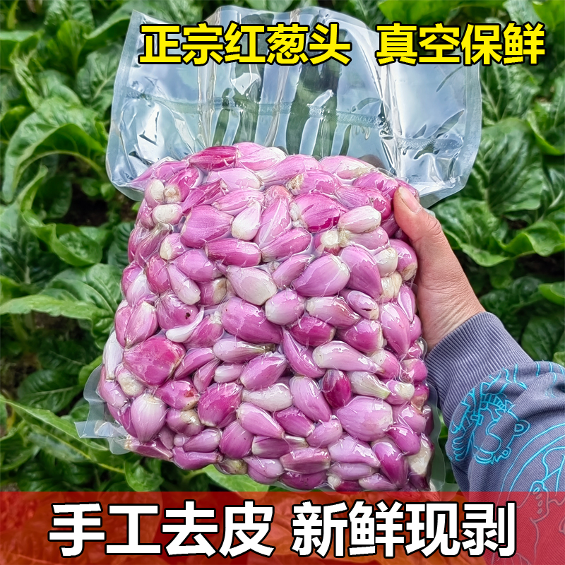 广东新鲜红葱头手工去皮真空包装