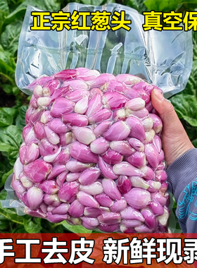 广东新鲜红葱头手工去皮红葱头家庭餐饮酒店专用香料料头真空包装