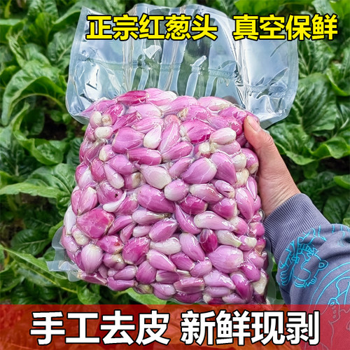 广东新鲜红葱头手工去皮红葱头家庭餐饮酒店专用香料料头真空包装