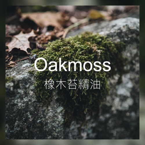 【新香新灵感】橡木苔精油 温暖木质苔藓植物香气
