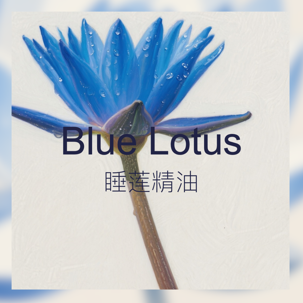 【新香新灵感】睡莲精油 清雅甜美 清甜荷花香气水润质感