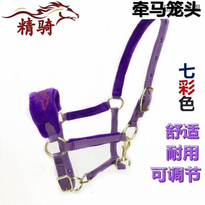 。马笼头彩色牵马调教笼头大小矮马龙头嚼子马术用品处理10送一