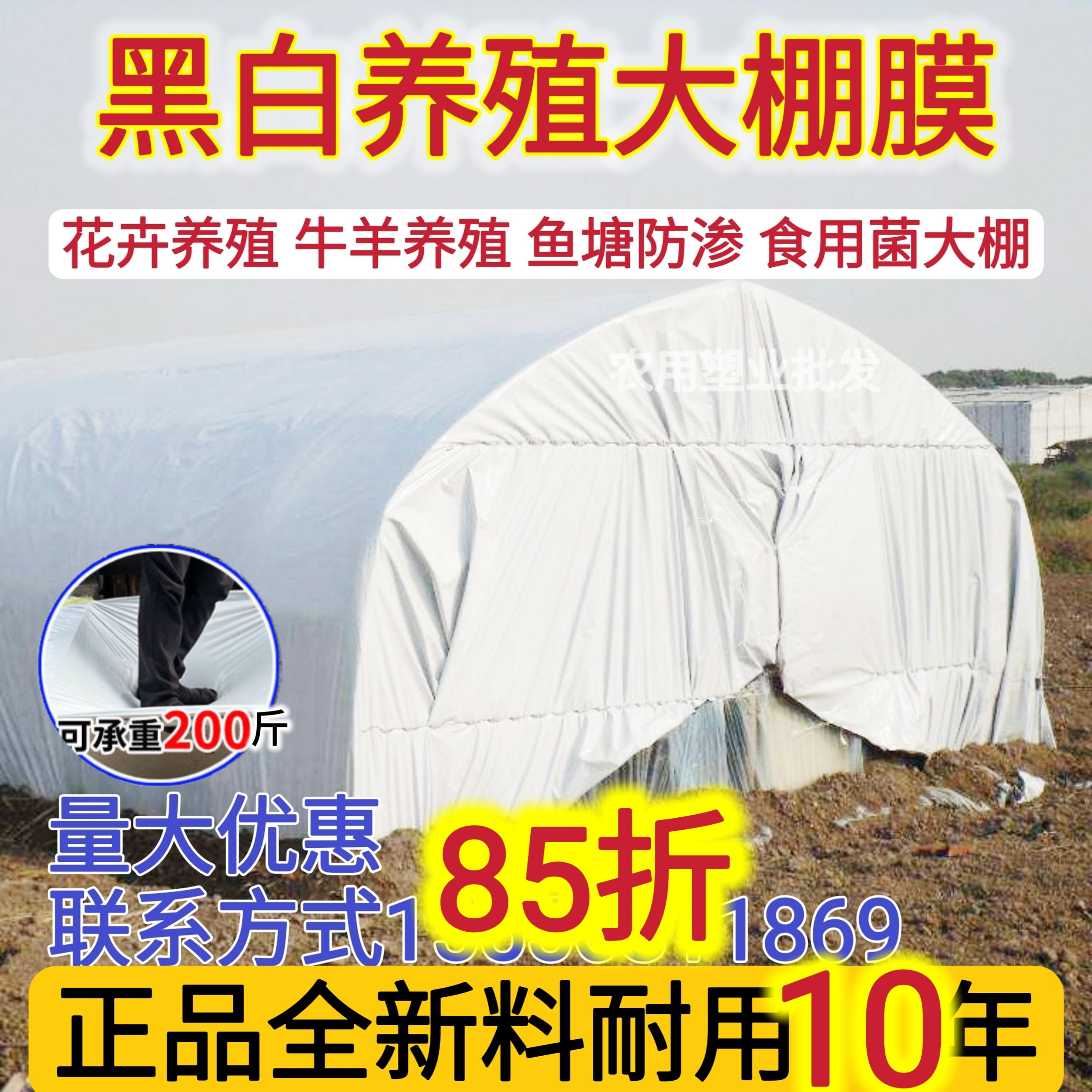 黑白膜养殖防晒隔热大棚膜食用菌