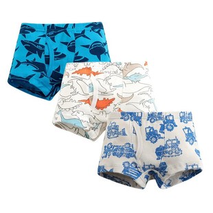 3 Piece Kids Boys Underwear Cartoon Children's Shorts Pa