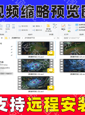 视频显示缩略图补丁mp4 mov flv mkv avi预览图像工具软件插件