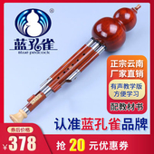 红木 学生成人初学演奏型D C降B 蓝孔雀葫芦丝 F调云南民族乐器