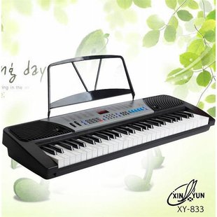 新韵833电子琴54标准钢琴键成人儿童初学入门教学XY833电子琴