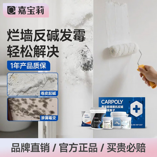 嘉宝莉蓝盒子内墙面反碱翻新改造