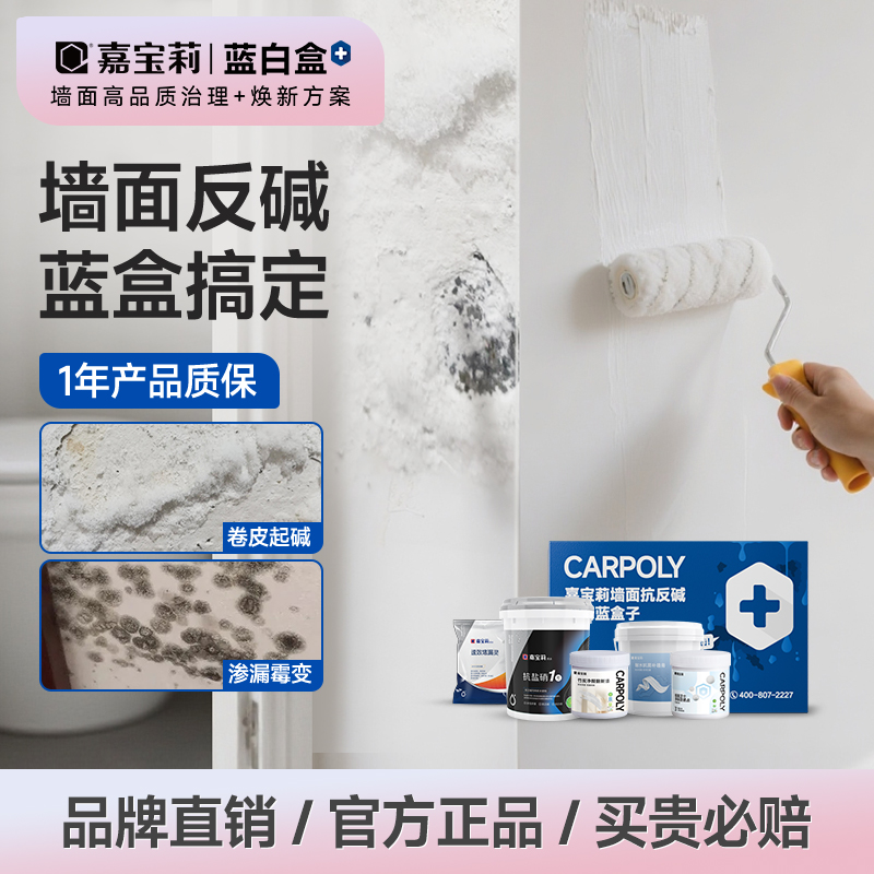 嘉宝莉蓝盒子补墙膏内墙面反碱防水脱落白色腻子粉家用天花板修补