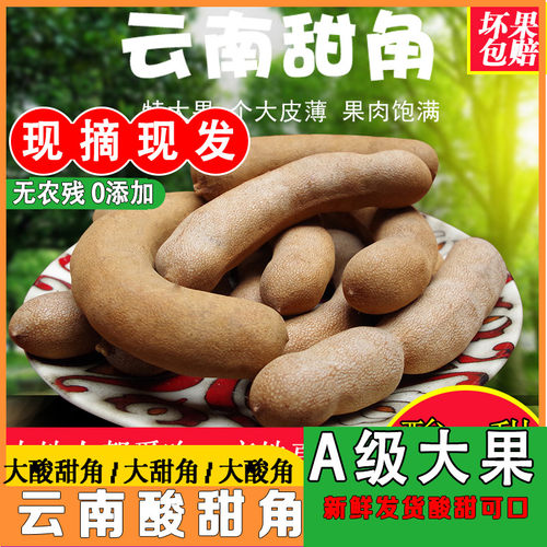 500x3云南酸甜角2025年新鲜发货