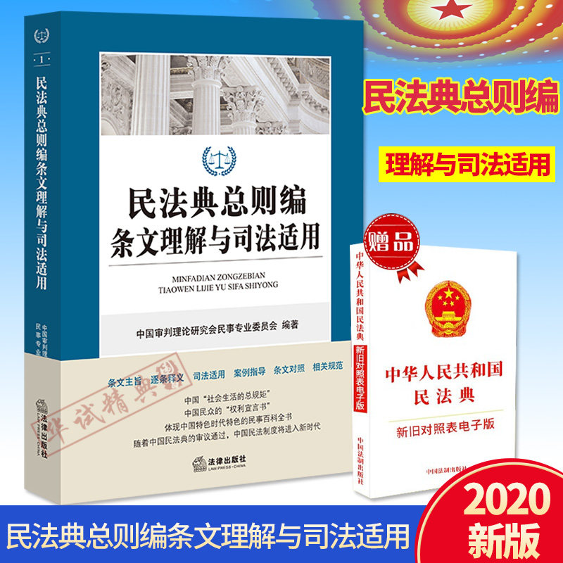 民法典2020年版 新修订民法典总则编条文理解与司法适用 中国民法典司法解释条文主旨逐条释义案例指导理解与适用解读实务法律书籍