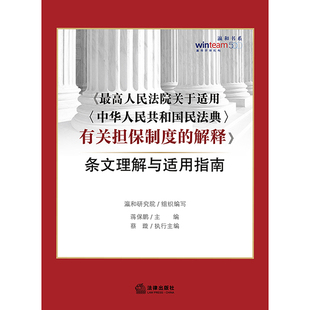 解释 正版 有关担保制度 中华人民共和国民法典 条文理解与适用指南 最高人民法院关于适用