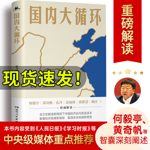 【官方正版】国内大循环 中国经济发展新格局 何毅亭黄奇帆迟福林黄群慧姚洋顶级智囊重磅发声 湖南人民出版社 中国道路趋势