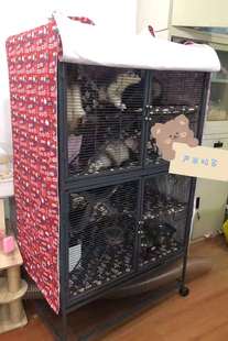 宠物貂雪貂宠物兔蜜袋鼯 达洋D800 670 中西笼罩定制