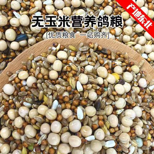 无玉米鸽粮饲料营养信观粮食鸟食肉鸽粮小颗粒赏鸽子