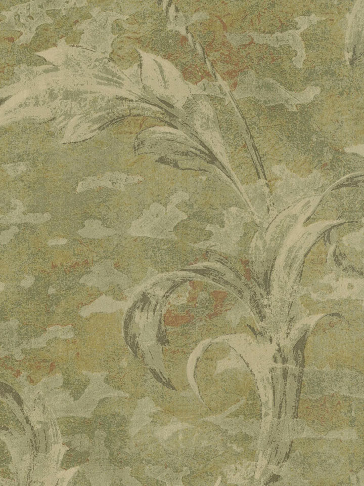 美国进口纯纸墙纸美式乡村复古绿色莨苕叶卷纹客厅电视背景墙壁纸