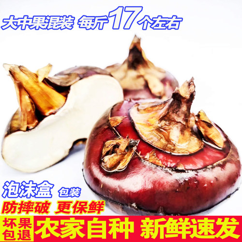 新鲜马蹄新鲜脆甜农家自种