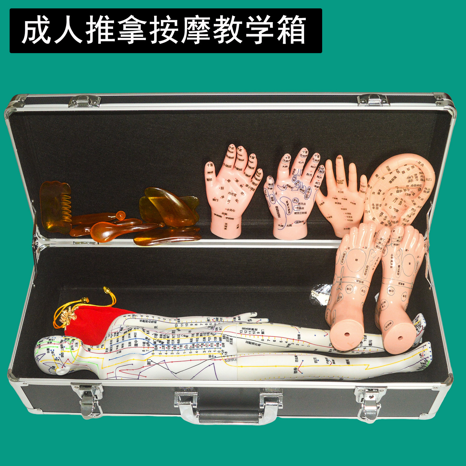 保健按摩师培训教具 成人推拿按摩教学示教工具箱 针灸穴位人体