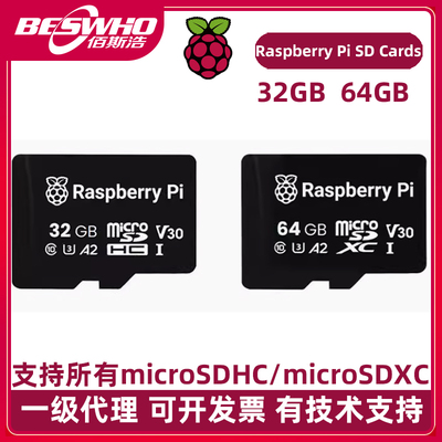 树莓派45RaspberryPiSDCards