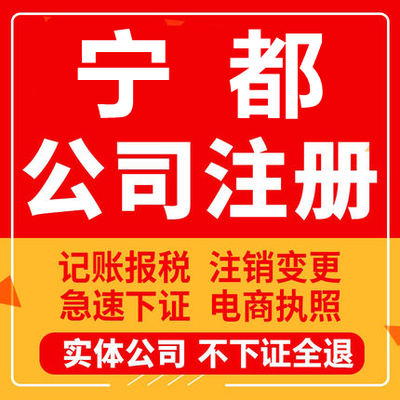 宁都公司注册个体工商营业执照代办公司注销企业变更股权异常