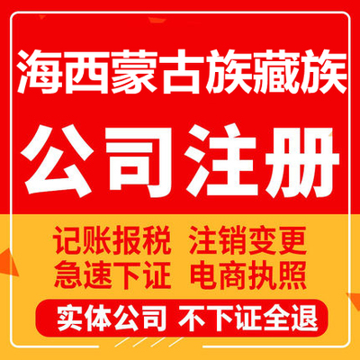 海西公司注册德令哈格尔木茫崖天峻工商营业执照代办注销变更